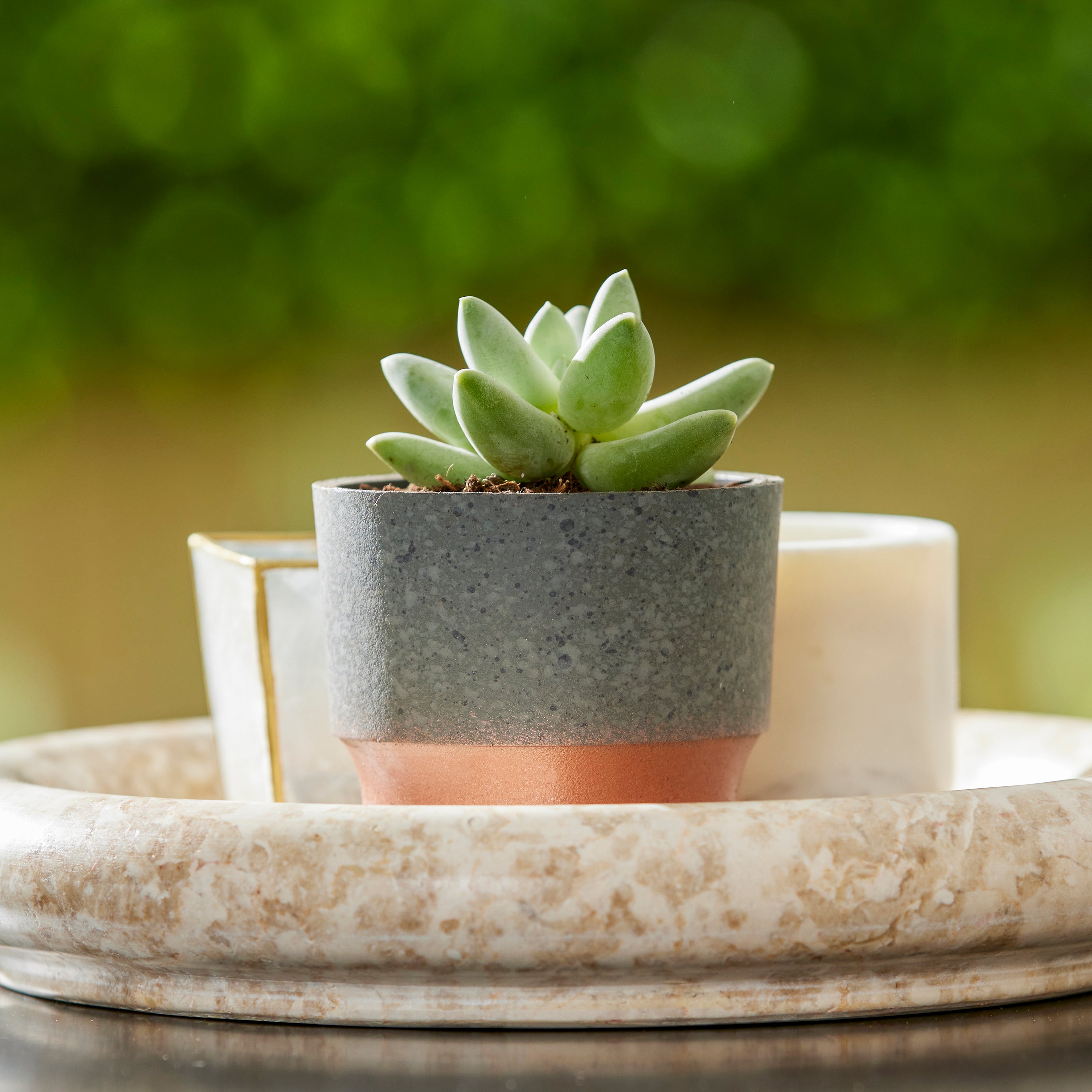 3" Sprite Indoor Succulent Planter Pot, Faux Concrete Copper (Open Box) - VMInnovations