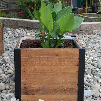 Grapevine 17.2 Inch Wooden Square Urban Garden Planter Box with Liner (Open Box)