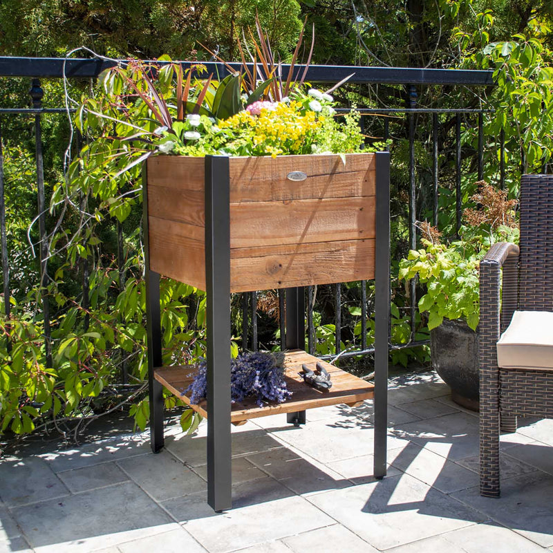 Grapevine Urban Garden Recycled Pine Square Raised Planter Box w/ Liner & Shelf