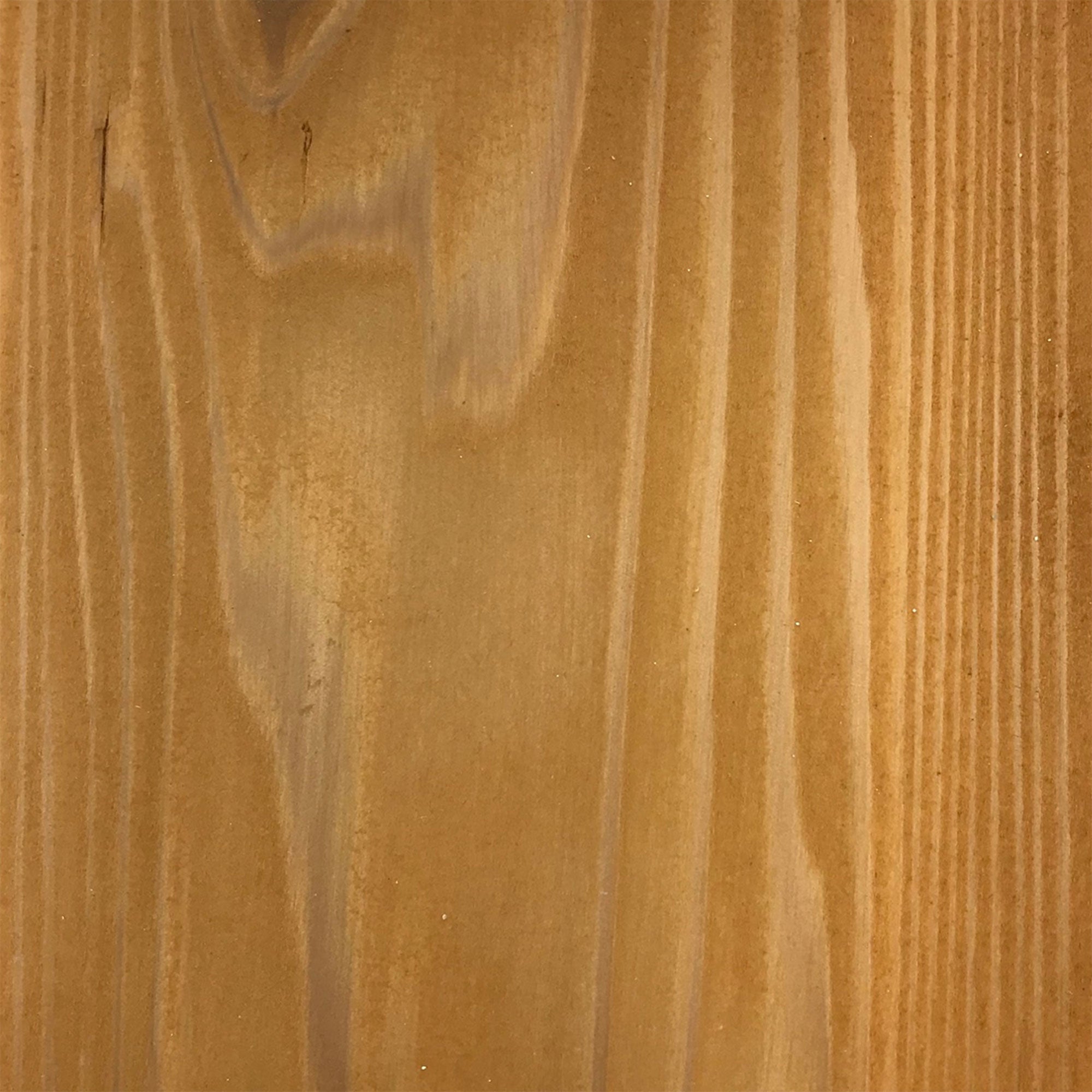 EcoProCote TimberSoy Non Toxic All in 1 Wood Stain and Sealer, Cedar, 5 Gallon