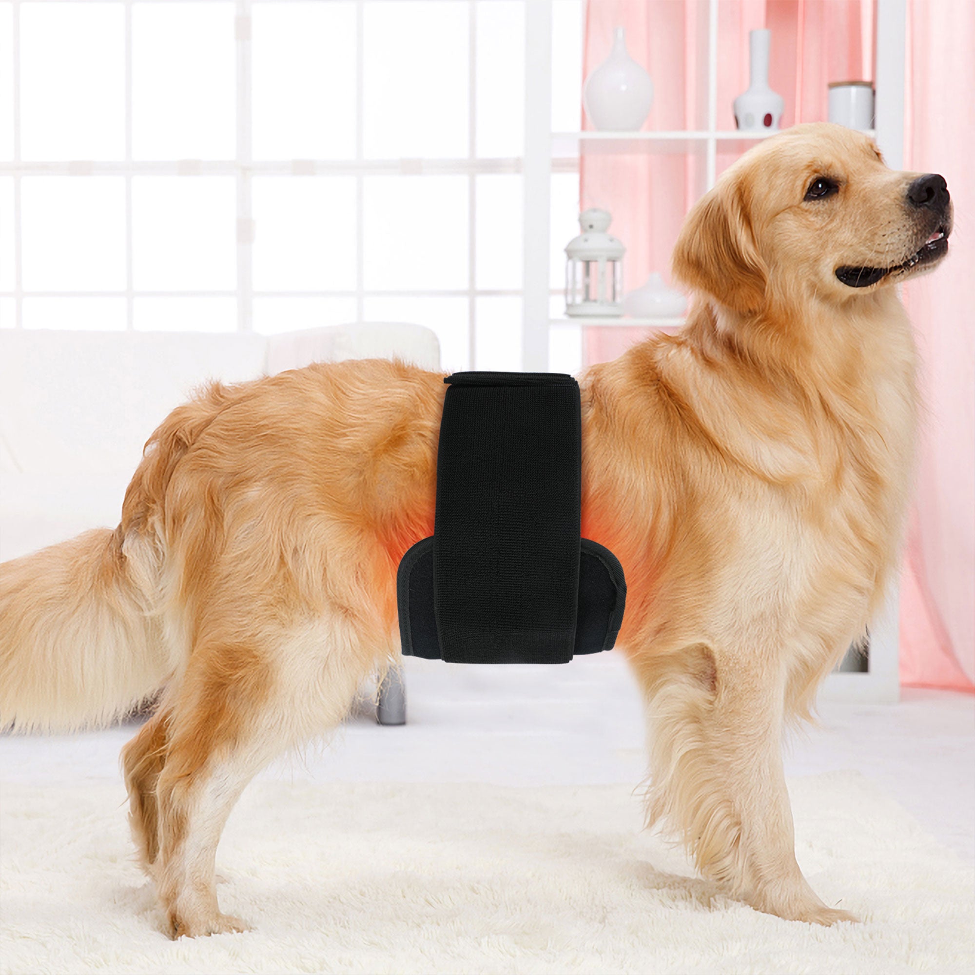 660nm Red Light & 850nm Near Infrared Therapy Belt w/ Auto Shutoff (Used) - VMInnovations