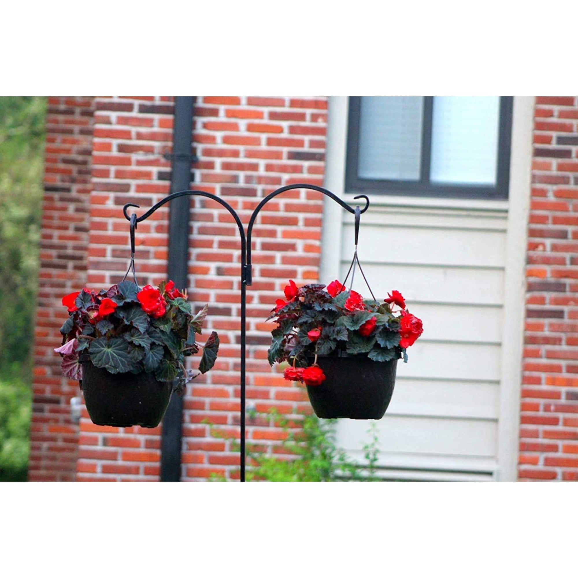 Ashman Premium Steel Ground Stake Shepherd's Hook 65 Inch Dual Sided (Open Box) - VMInnovations