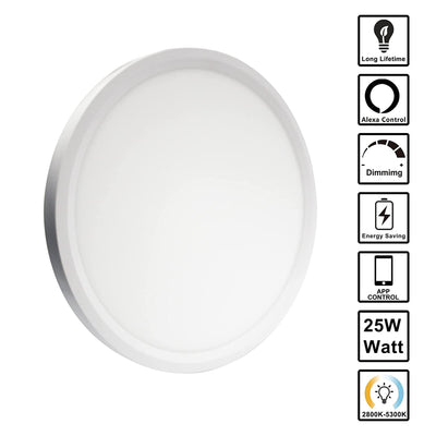 Banord WiFi Smart Ceiling Light Dimmable 25 Watt LED Bulb for Rooms and Closets