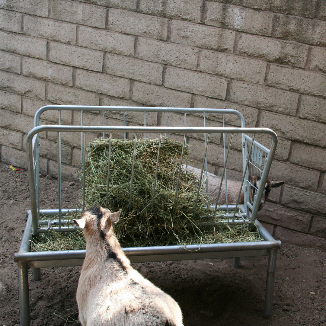 Rugged Ranch Products GV3PF 4 Ft Heavy Duty Galvanized Steel Pasture Feeder - VMInnovations