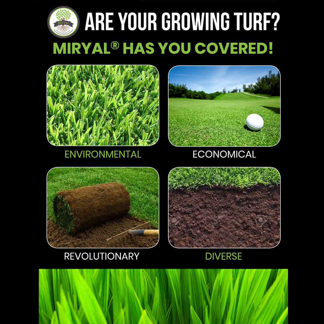 Algreen Miryal All In 1 Mycorrhizae Inoculant Plant Probiotic Soil Amendment - VMInnovations