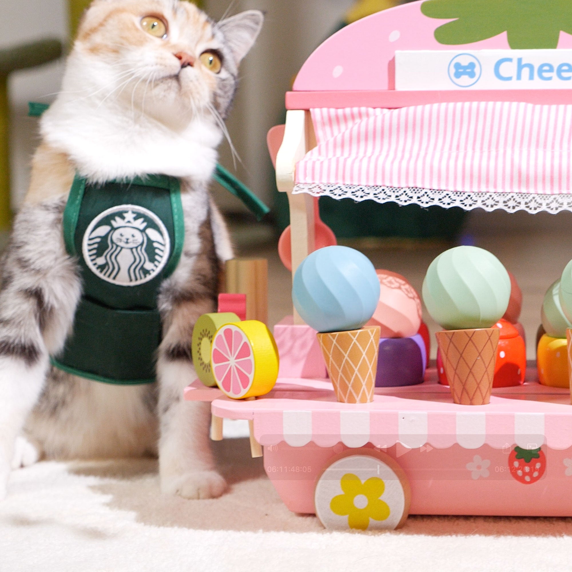 Cheerble M1 Interactive Cat Ball with 3 Modes and Auto Obstacle Avoidance (Used) - VMInnovations