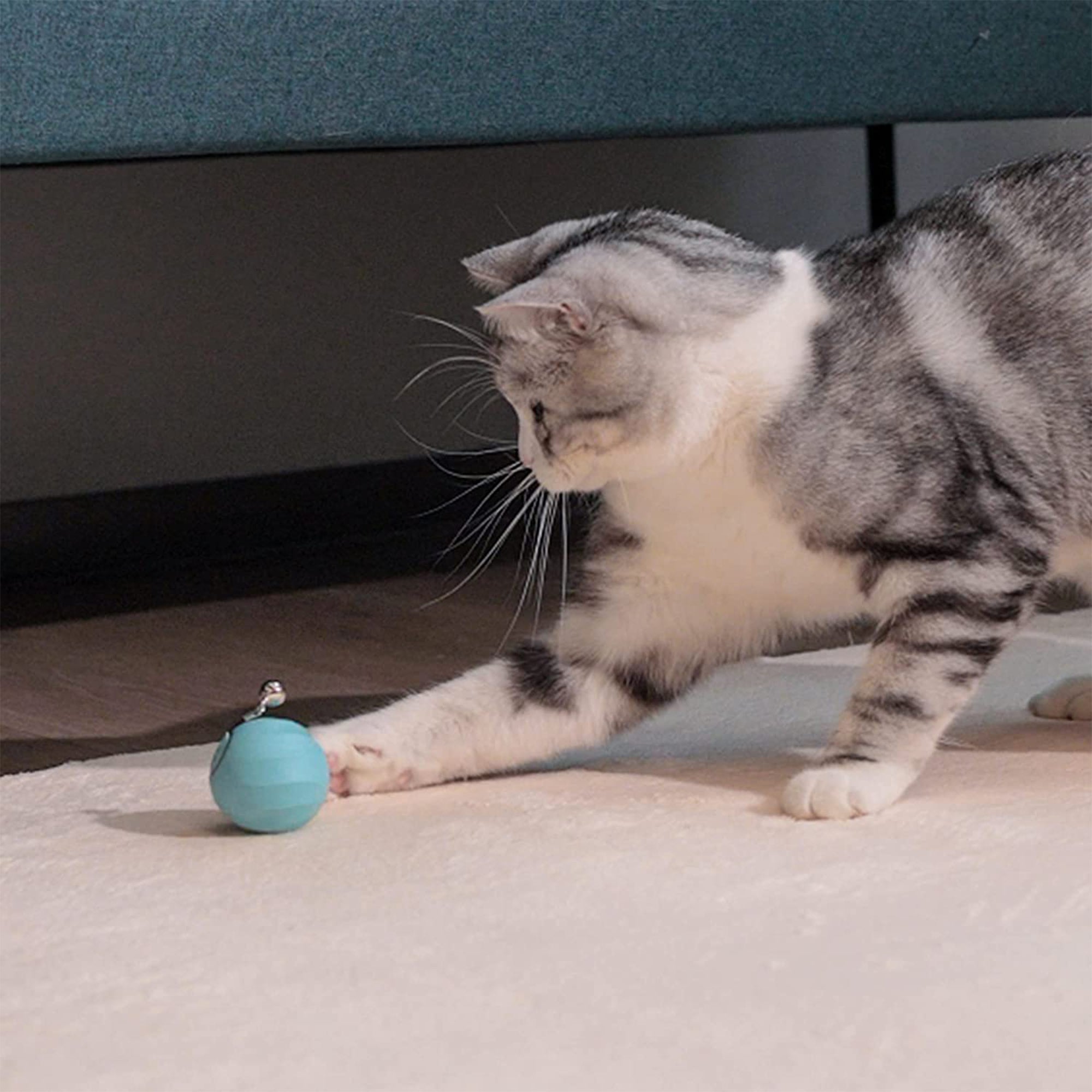 Cheerble M1 Interactive Cat Ball with 3 Modes and Auto Obstacle Avoidance (Used) - VMInnovations