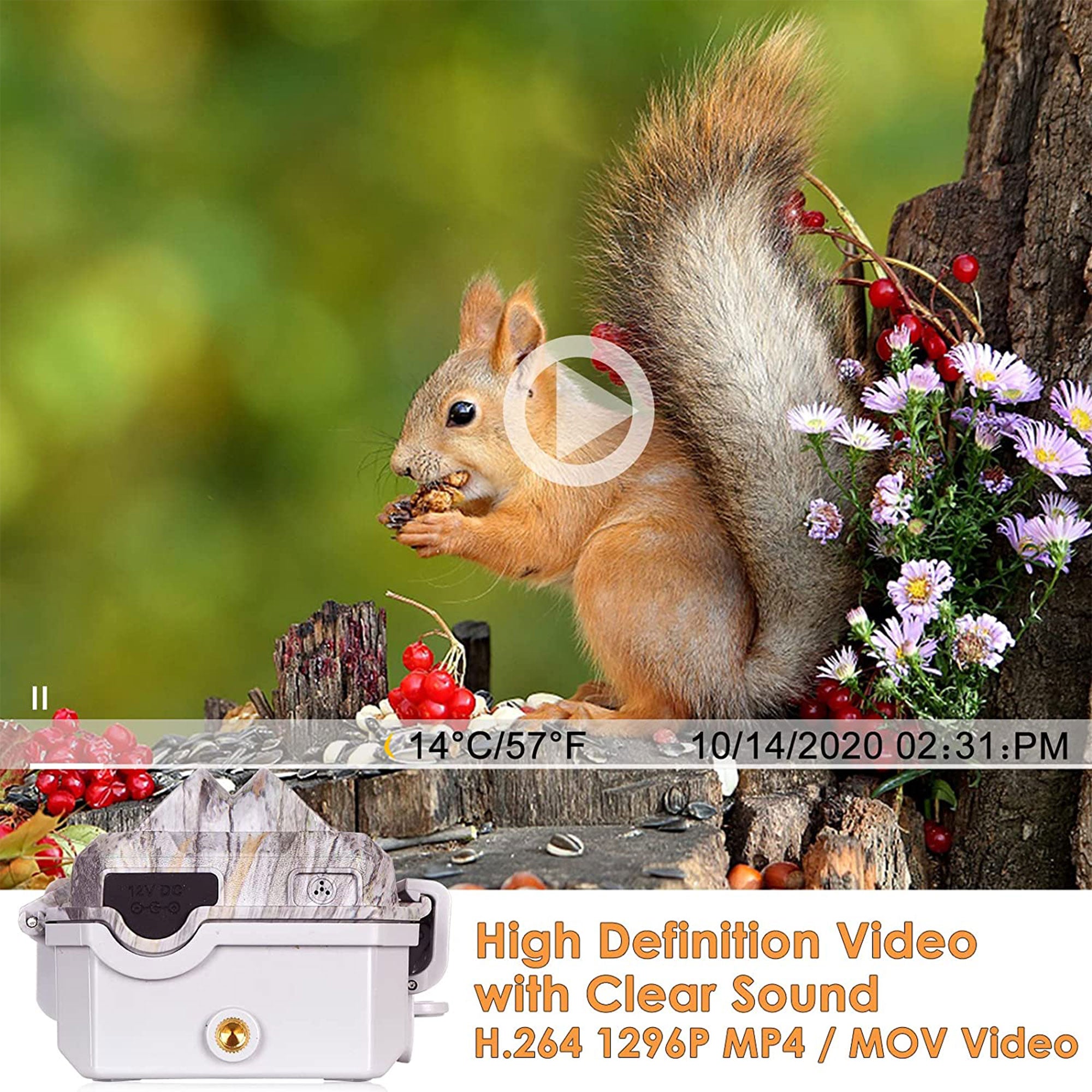 BlazeVideo Wireless Waterproof Night Vision Game Camera with Wide Angle Lens