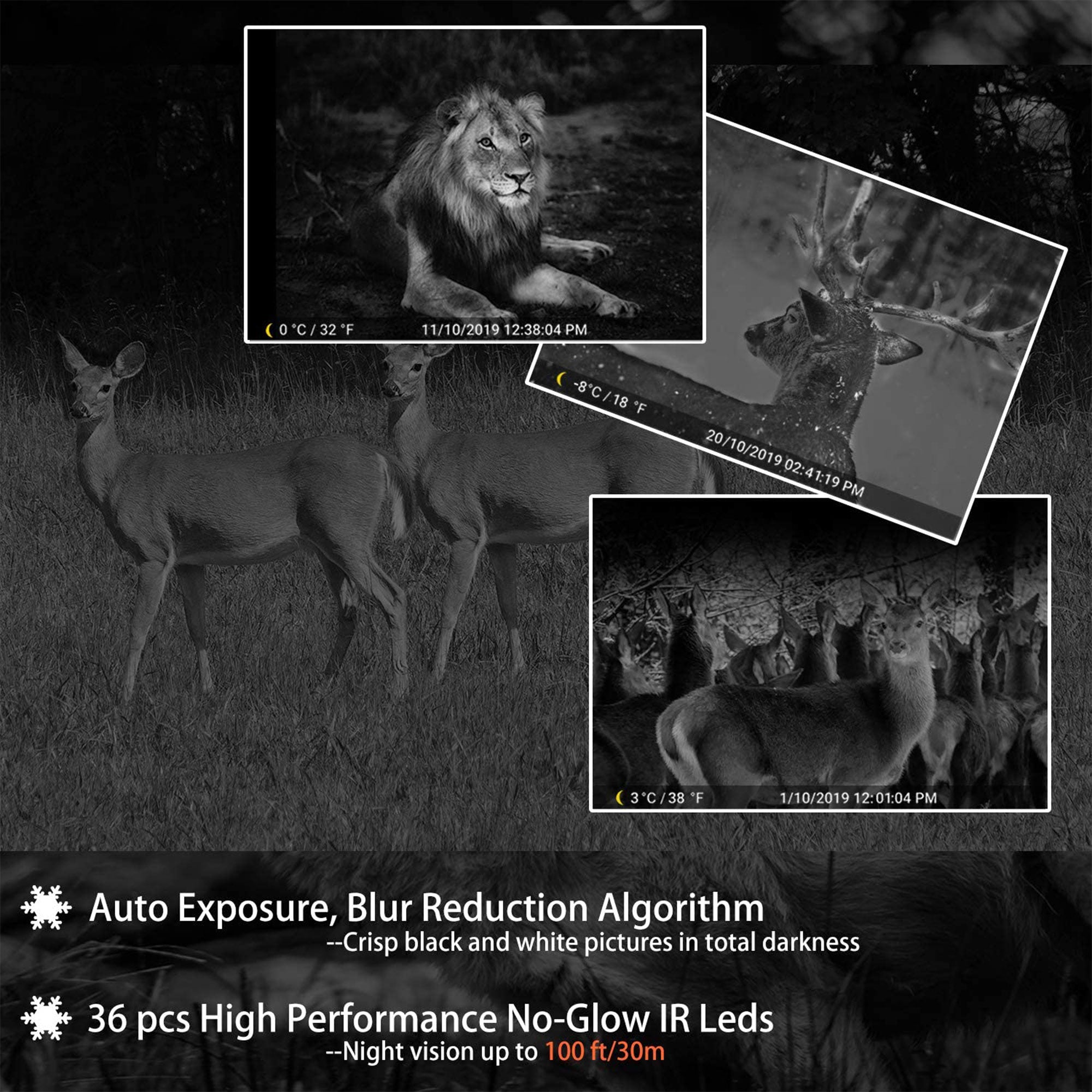 Agitato No Glow Game and Deer Trail Camera with 100 Foot Night Vision (2 Pack)