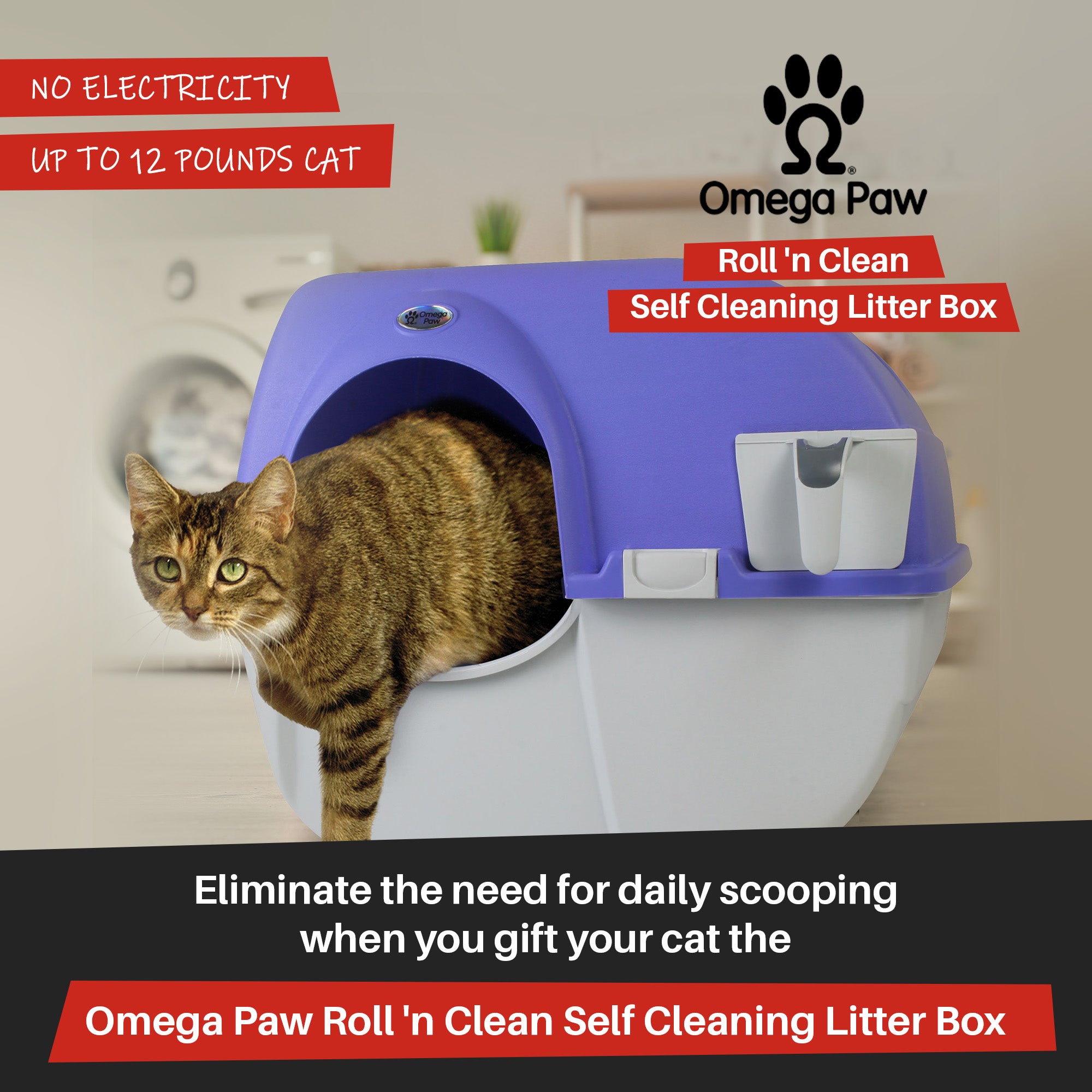 Omega Paw Roll 'n Clean Self Cleaning Cat & Kitten Litter Box, Large, (Open Box)