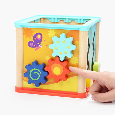 Topbright Toys Garden 5 in 1 Wooden Activity Cube for 12 to 18 Month Old Babies