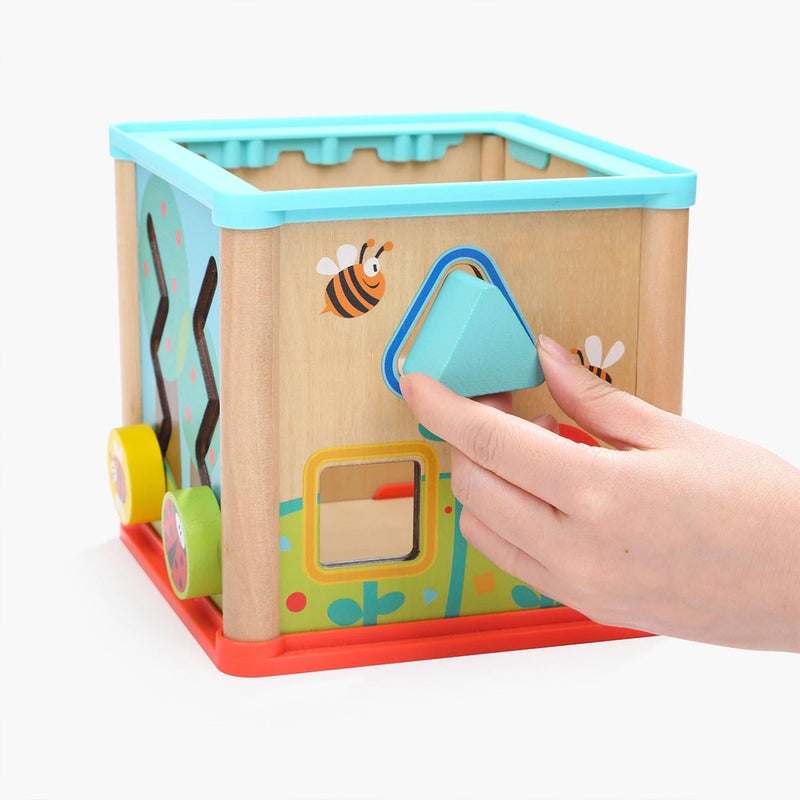 Topbright Toys Garden 5 in 1 Wooden Activity Cube for 12 to 18 Month Old Babies
