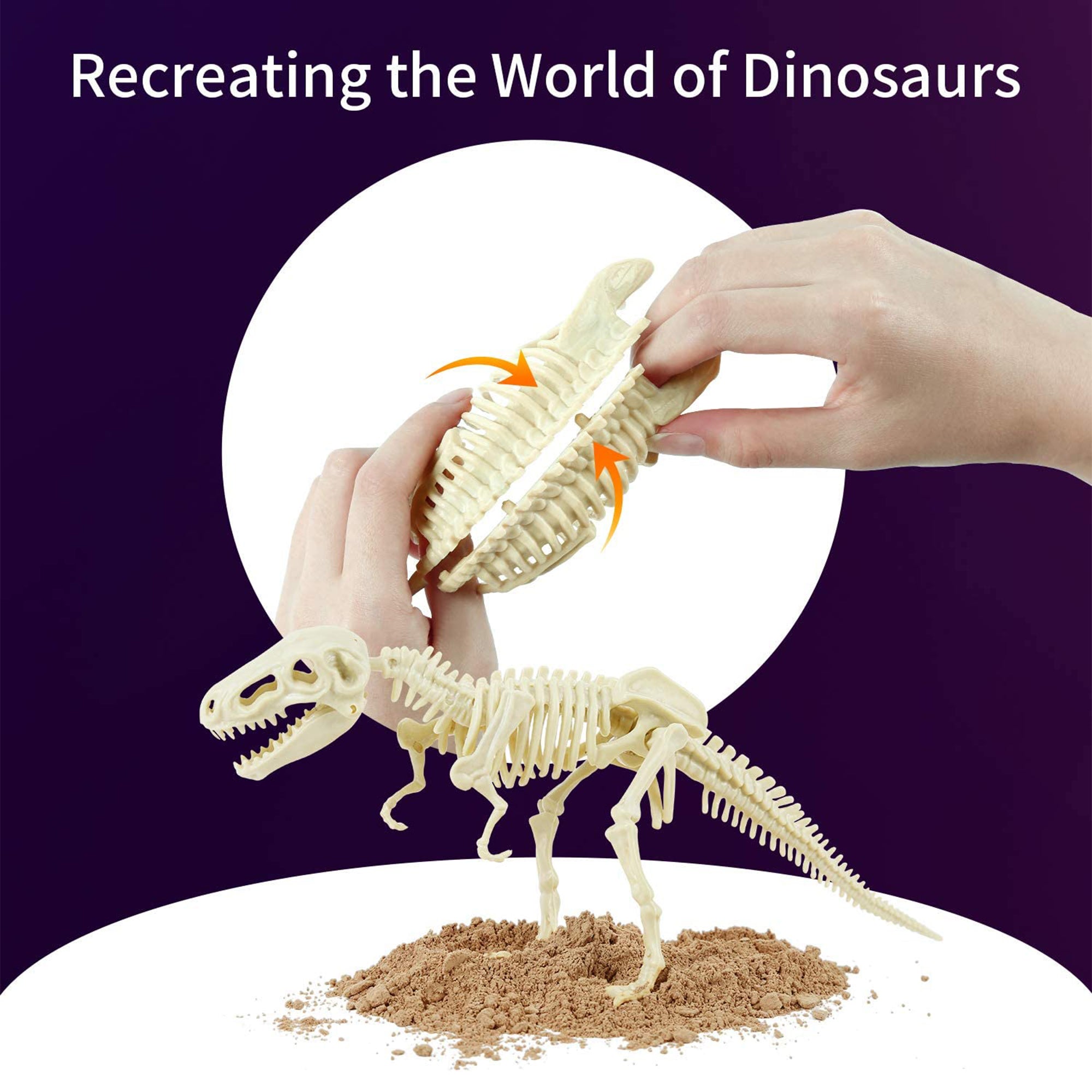 Science Can 160003G-1 Mesozoic Era Super Dinosaur Fossil Dig Kit for Ages 6 & Up - VMInnovations