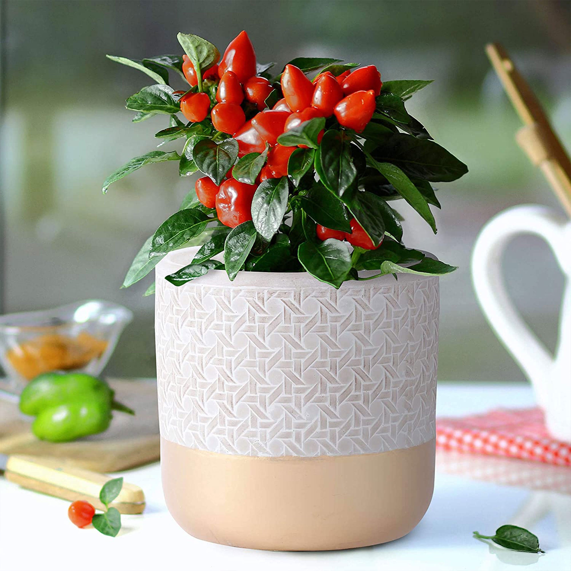 Inspirella 5.3 In Ceramic Round Geometric Plant Pots w/ Drainage Holes (2 Pack)