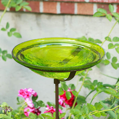 Achla Designs 12 Inch Hand Blown Crackle Glass Birdbath with Stake, Fern Green
