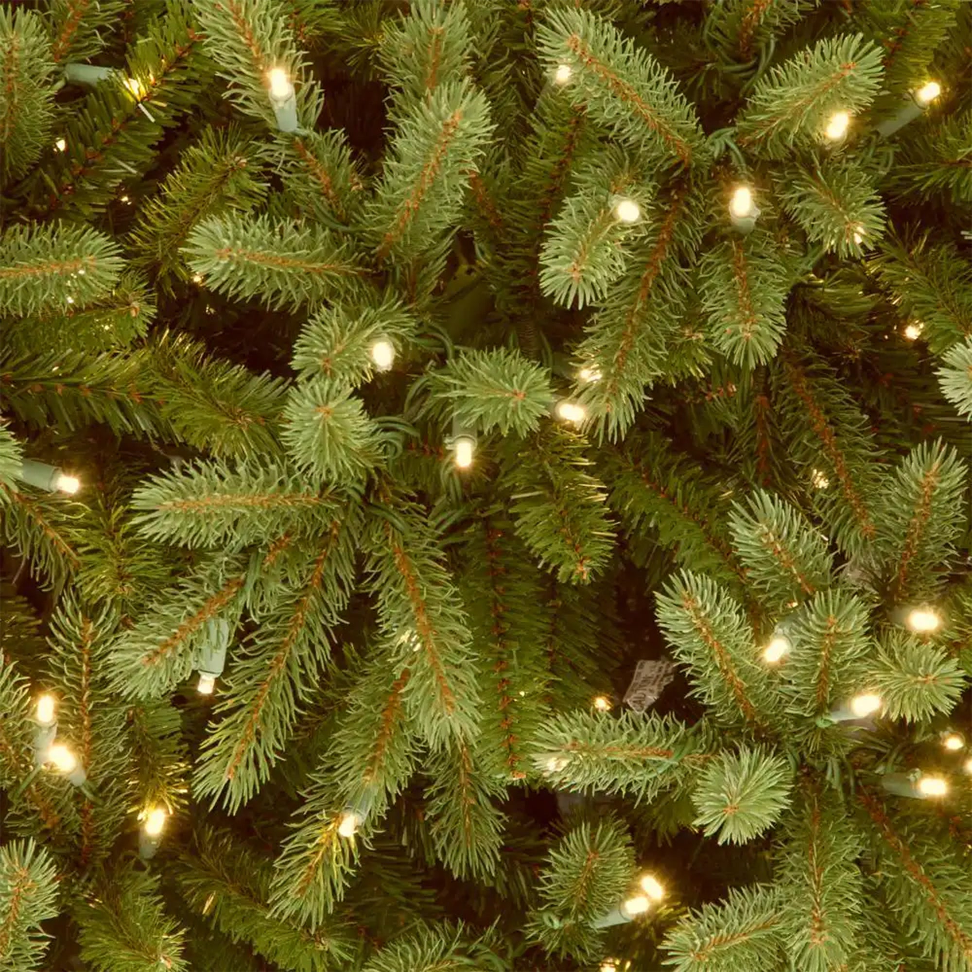 National Tree Company Jersey Frasier Fir 7.5' Clear White Prelit Christmas Tree