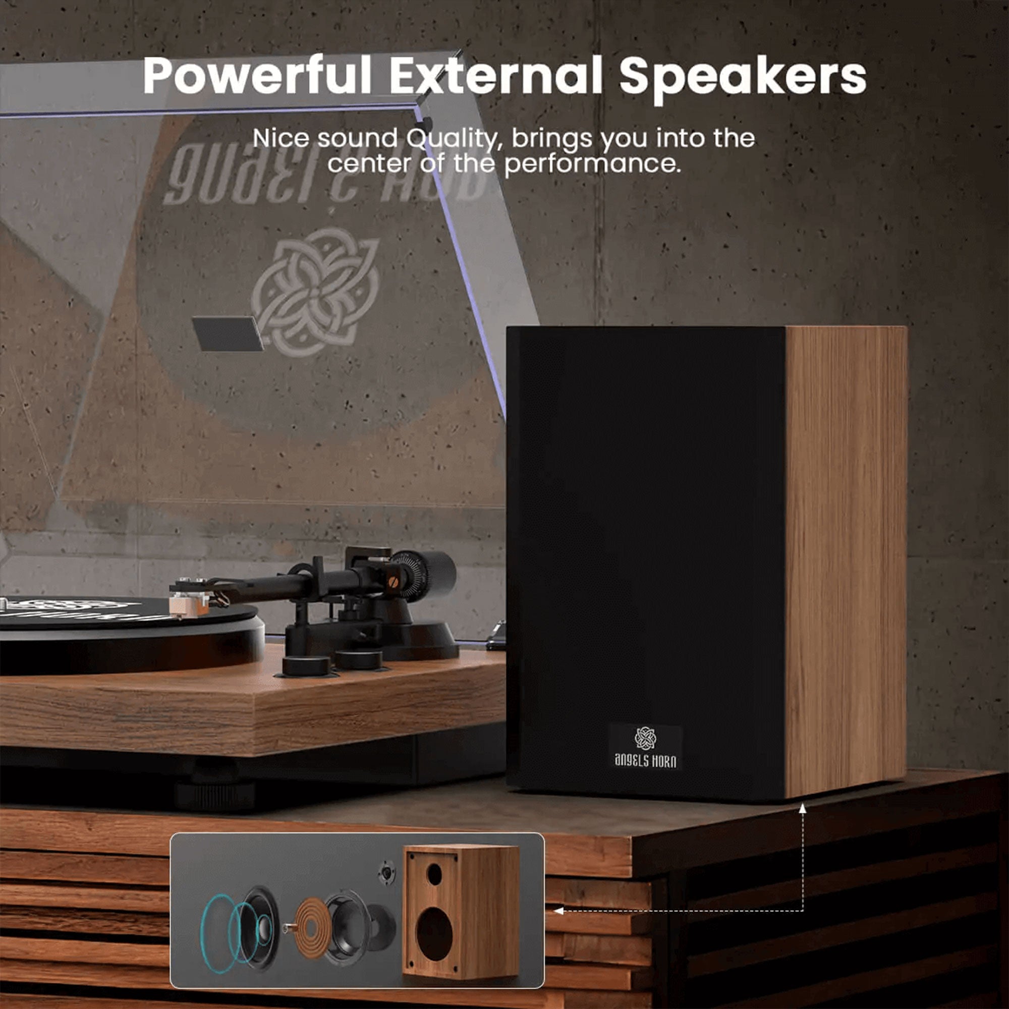 Angels Horn Vinyl Record Player w/ Speakers & Phono Preamp (For Parts) - VMInnovations