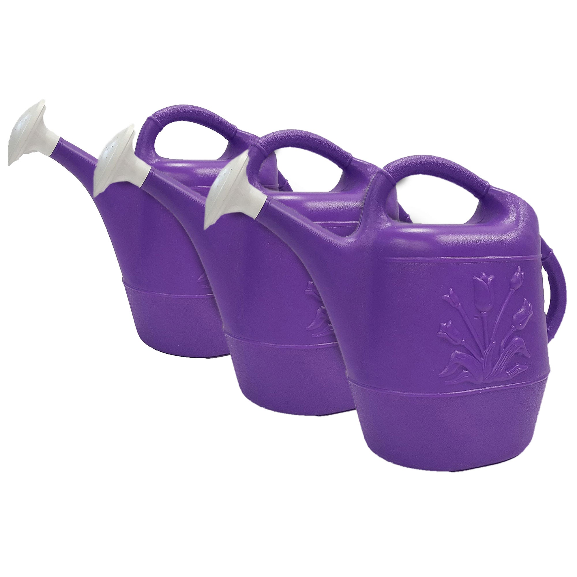 Union Products 63068 Indoor/Outdoor 2 Gallon Plant Watering Can, Purple (3 Pack) - VMInnovations