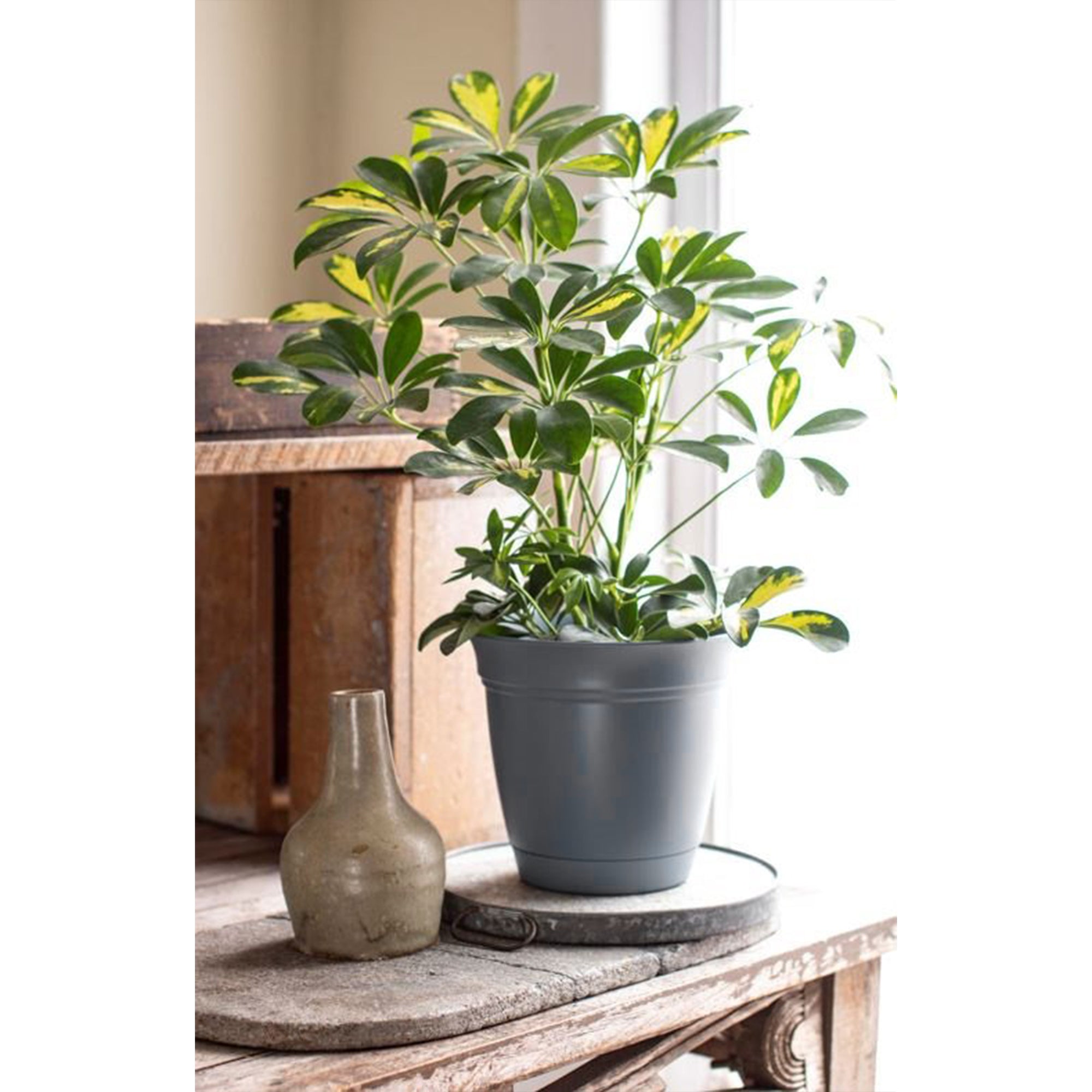 HC Companies 12 Inch Eclipse Planter with Attached Saucer, Warm Gray (Open Box)