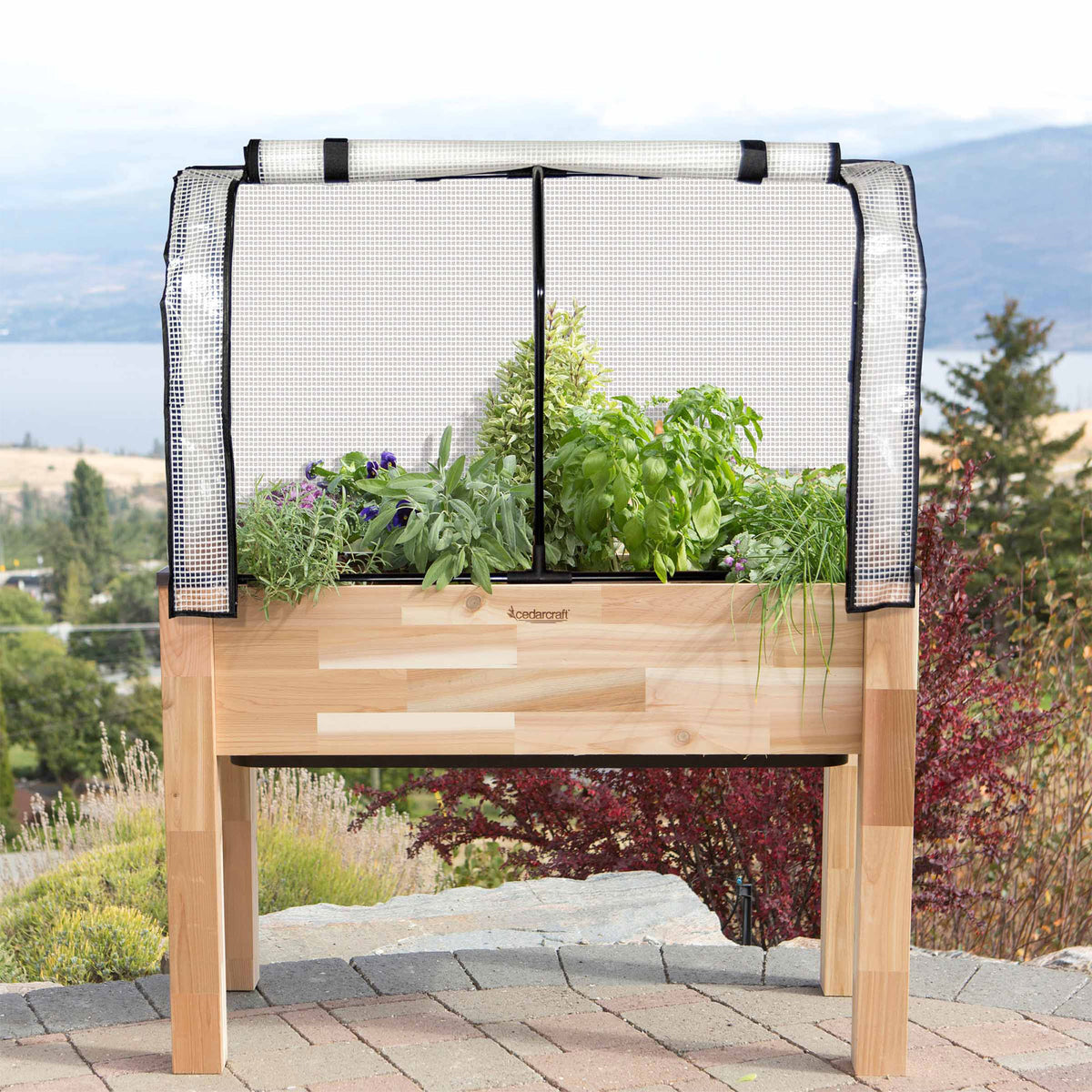 CedarCraft Self-Watering Elevated Cedar Garden Planter with Greenhouse Cover