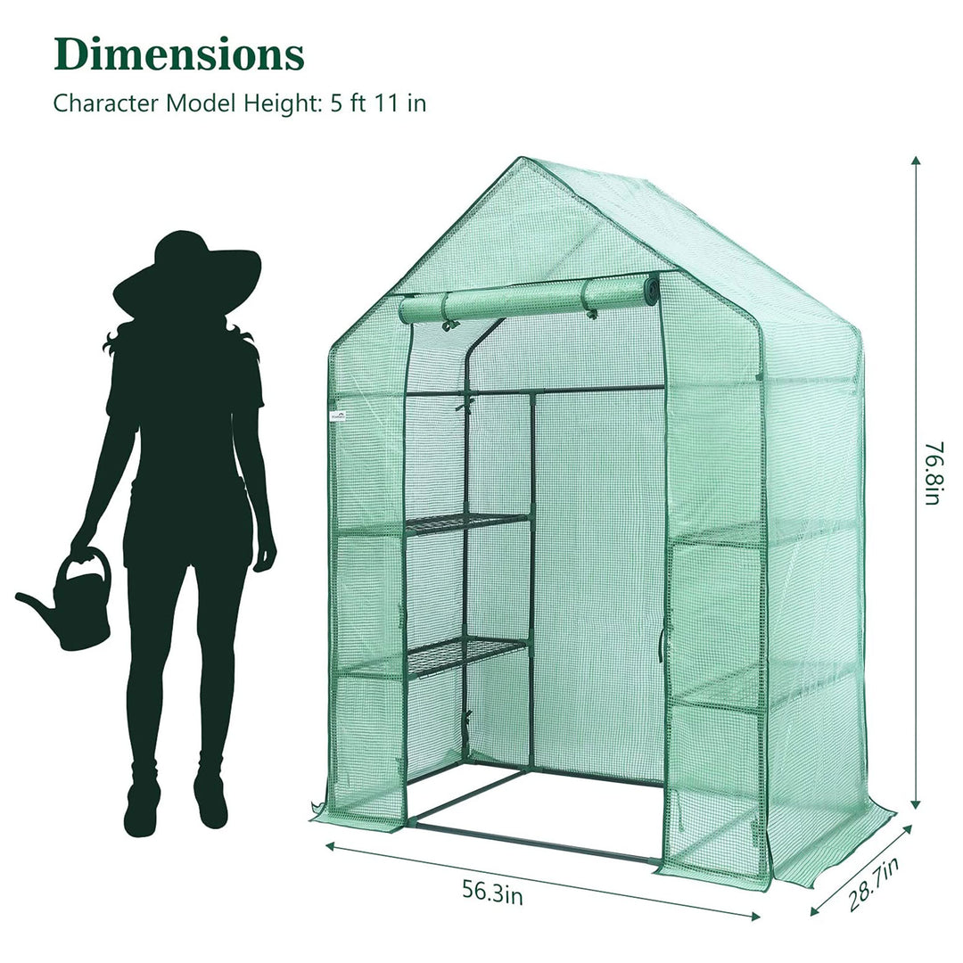 Hanience Walk-in Outdoor/Indoor Covered Plant Greenhouse with 4 Wired Shelves - VMInnovations