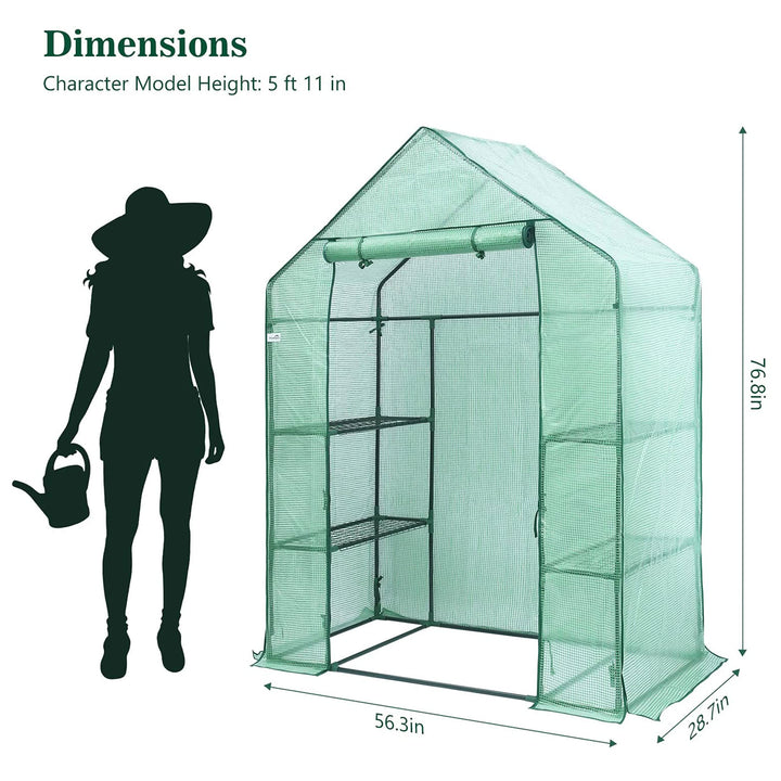 Hanience Walk-in Outdoor/Indoor Covered Plant Greenhouse with 4 Wired Shelves - VMInnovations