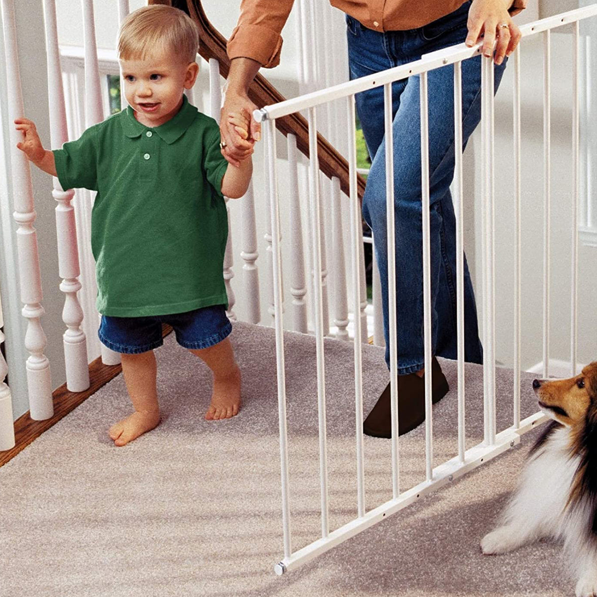 Command Pet Products PG5200 Wall Mounted Gate for Pets, 24.75-42.5 Inches, White - VMInnovations