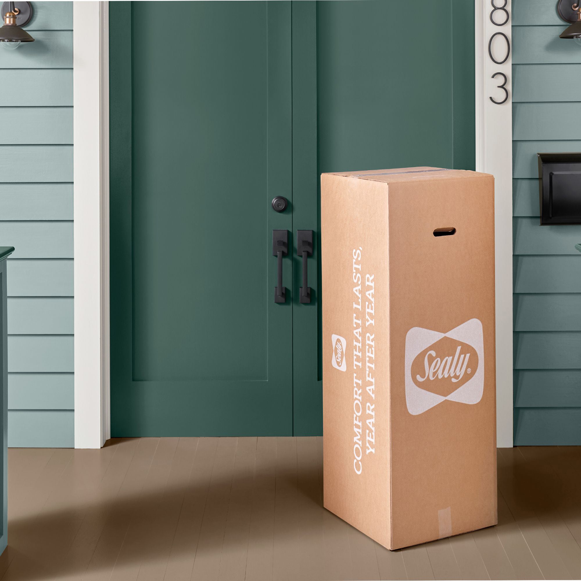 Sealy 10 Inch Memory Foam Mattress in a Box with Body Support, California King - VMInnovations
