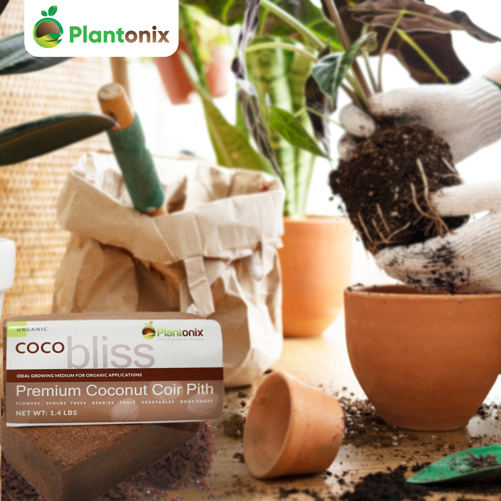 Plantonix Coco Bliss Organic Coir Pith, 650GM Bricks (50 Pack) (Open Box)