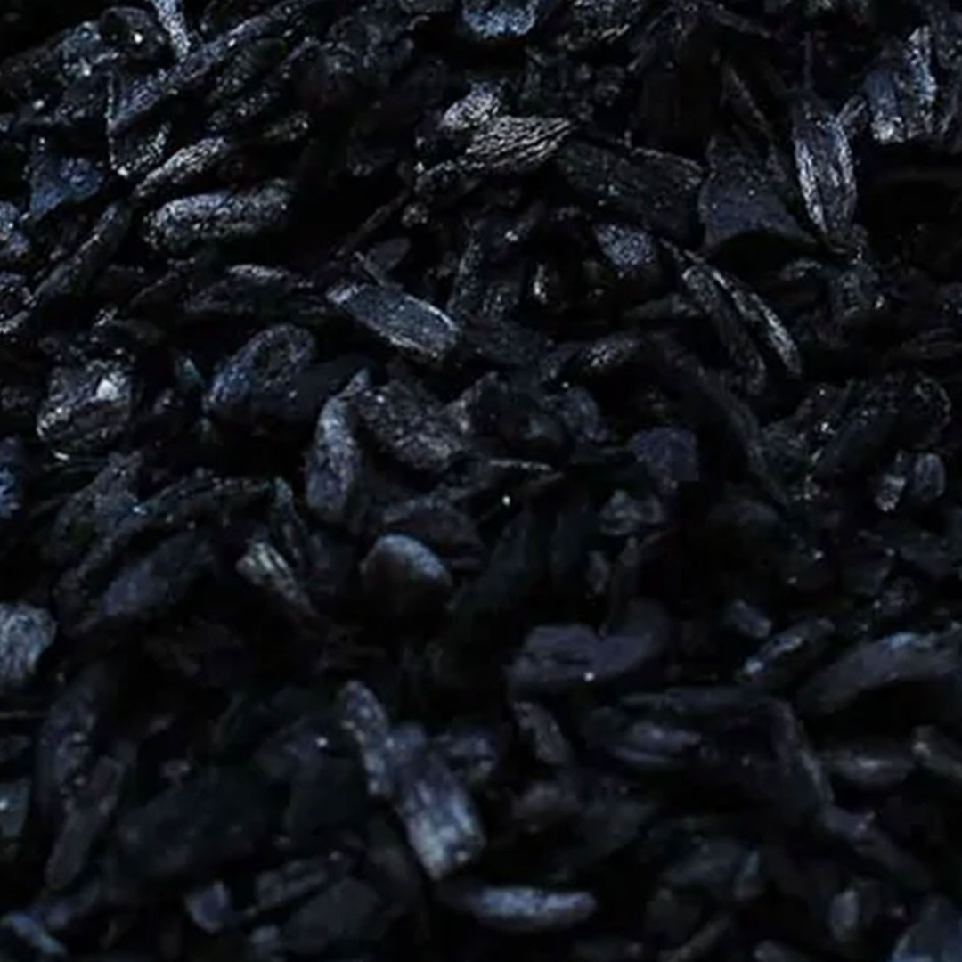 Plantonix Char Bliss Indoor Outdoor Premium Biochar Soil Conditioner, 30 Quarts - VMInnovations