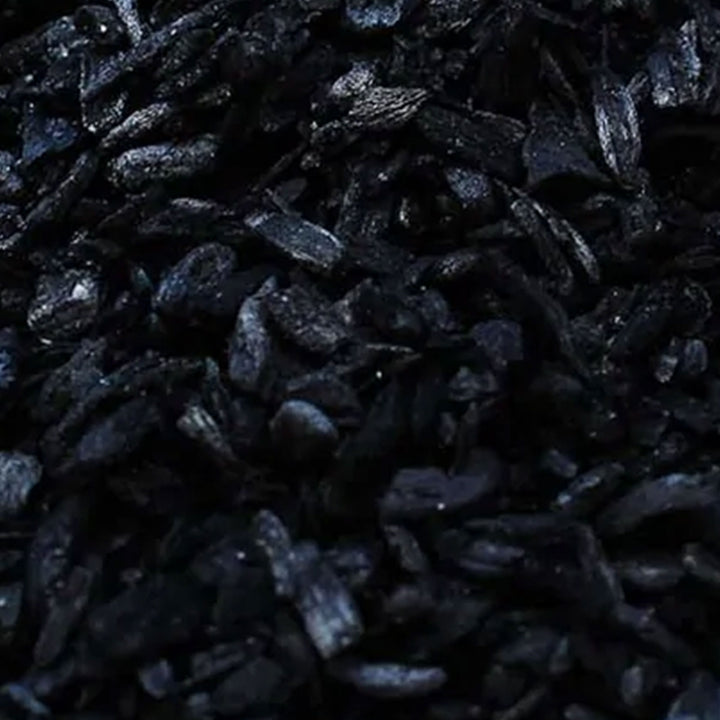 Plantonix Char Bliss Indoor Outdoor Premium Biochar Soil Conditioner, 30 Quarts - VMInnovations