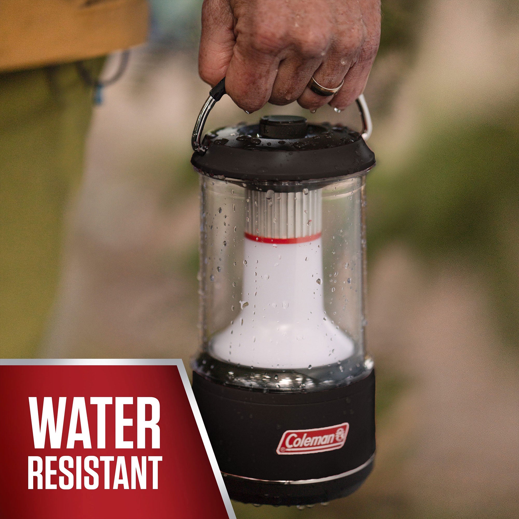 Coleman 800 Lumens LED Camping Light Lantern with BatteryGuard, Black (2 Pack)