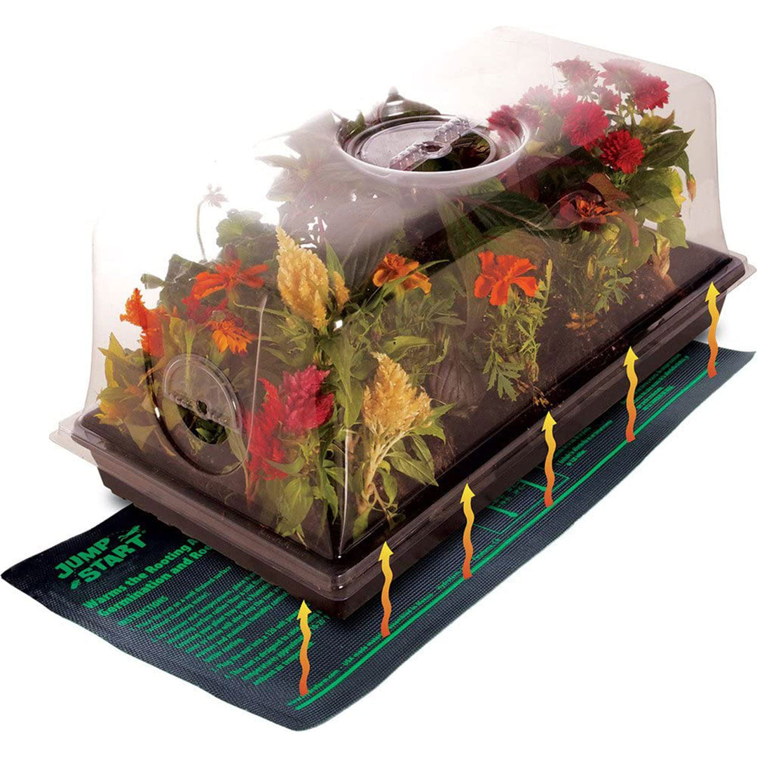 Jump Start CK64060 Germination Hot House with Heat Mat, Tray, Cell Insert & Dome - VMInnovations