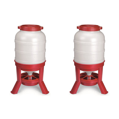 Little Giant 60 Pound Feed Heavy Duty Poultry Chicken Gravity Feeder (2 Pack)