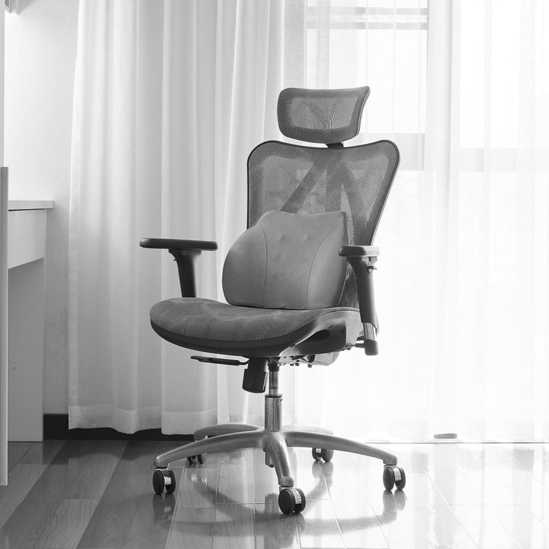 WENNEBIRD Model Q Lumbar Memory Foam Support Pillow to Improve Posture, Grey - VMInnovations