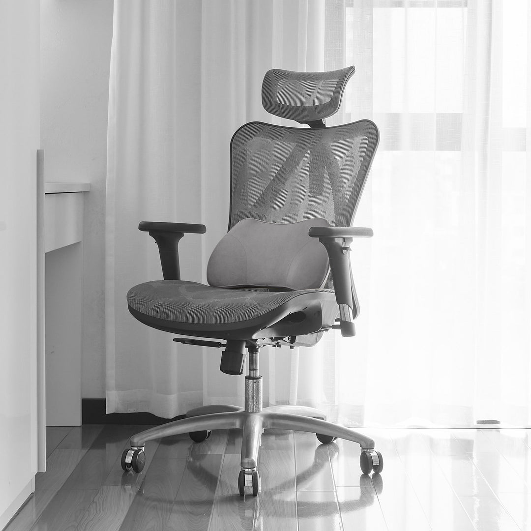 WENNEBIRD Model B Lumbar Memory Foam Support Pillow to Improve Posture, Grey - VMInnovations
