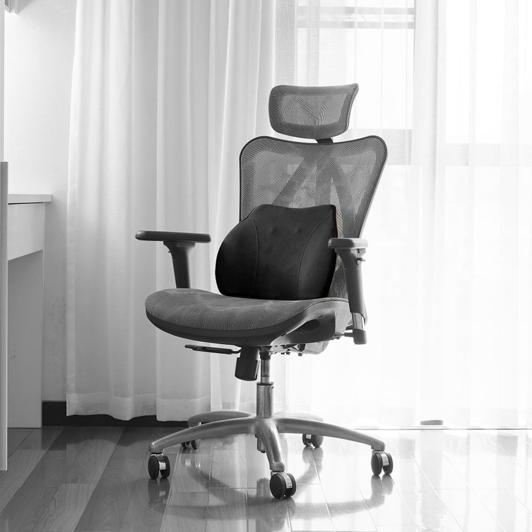 WENNEBIRD Model Q Lumbar Memory Foam Support Pillow to Improve Posture, Black - VMInnovations