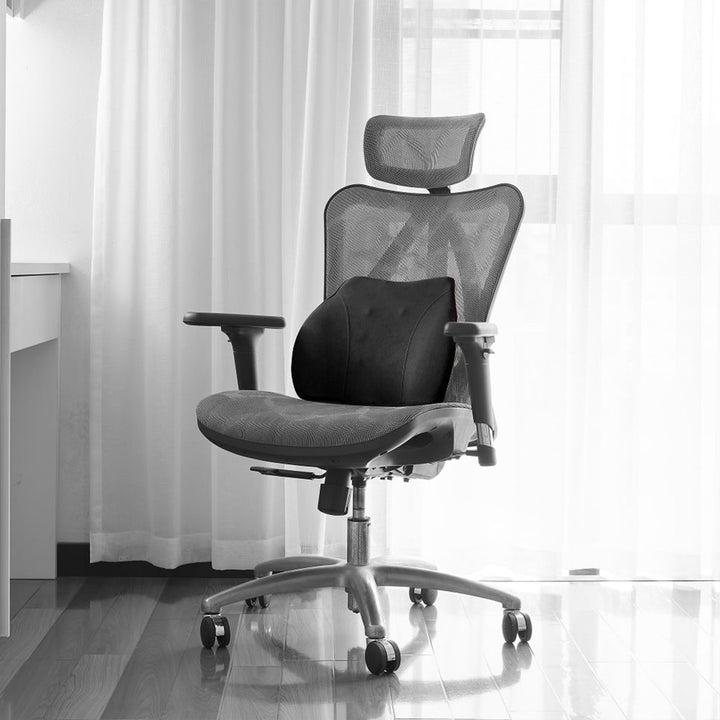 WENNEBIRD Model Q Lumbar Memory Foam Support Pillow to Improve Posture, Black - VMInnovations