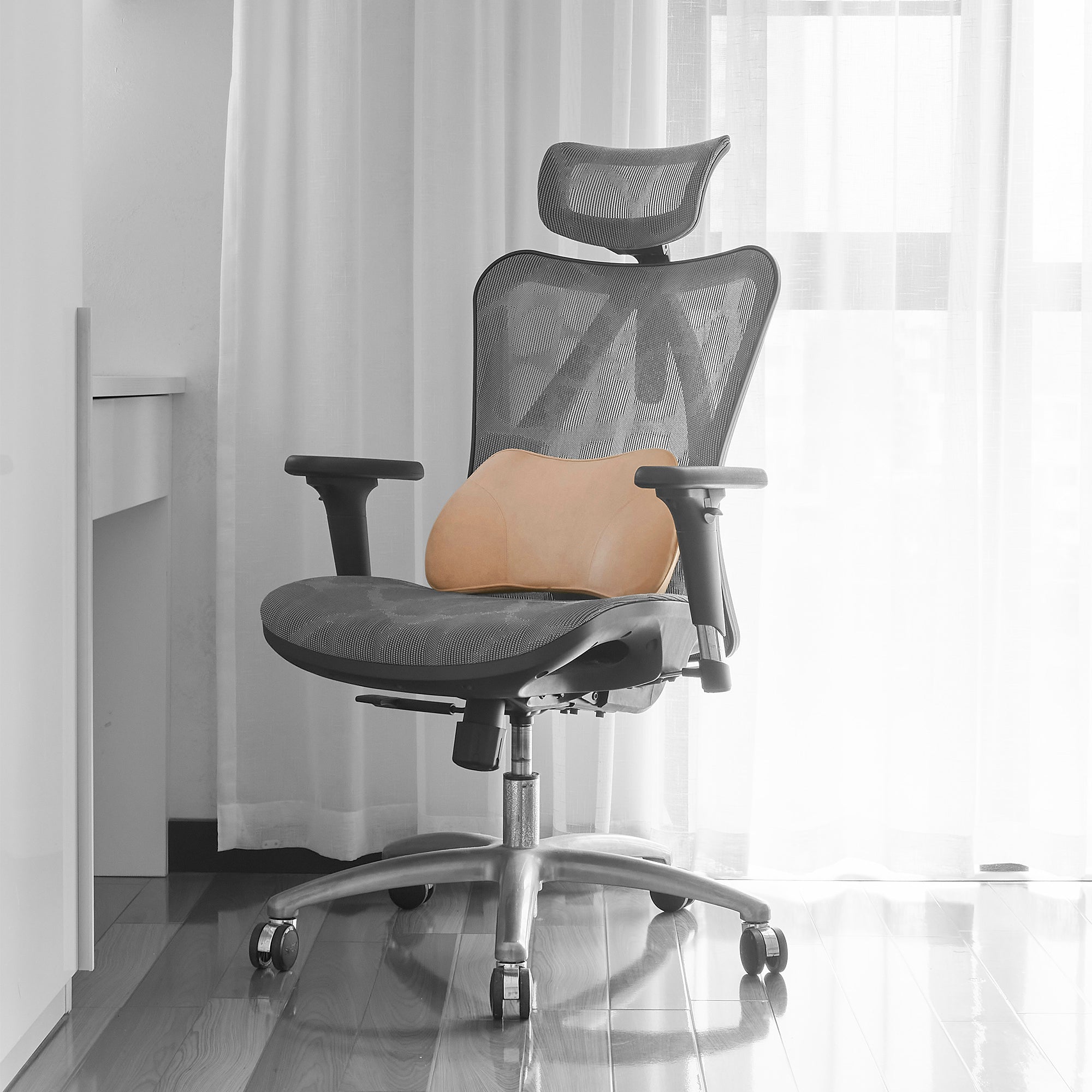 WENNEBIRD Model B Lumbar Memory Foam Support Pillow to Improve Posture(Open Box) - VMInnovations