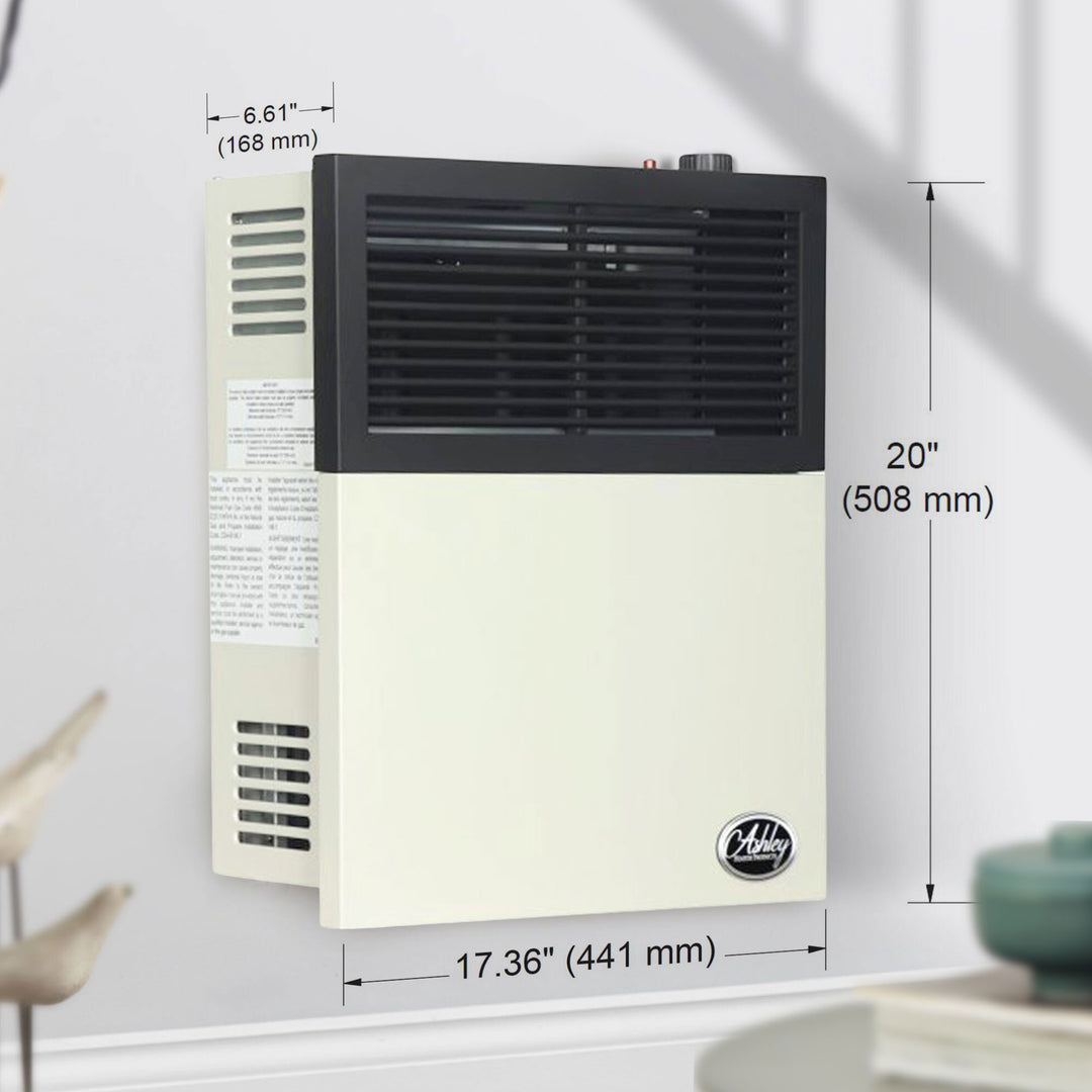 Ashley Hearth Products 11,000 BTU Direct Vent Liquid Propane Wall Mount Heater - VMInnovations