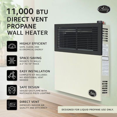 Ashley Hearth Products 11,000 BTU Direct Vent Liquid Propane Wall Mount Heater
