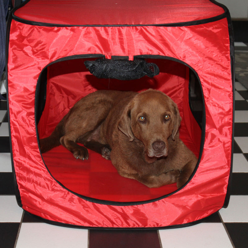 Redmon Pet Partners 41.5" Portable Foldable Pop Up Pet Crate, X-Large, Red(Used)