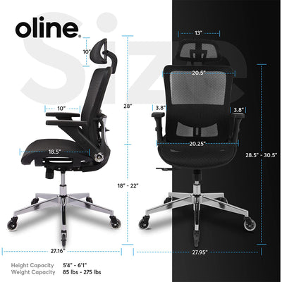 Oline ErgoMax Ergonomic Swivel Office Chair w/ Lumbar Support (For Parts)