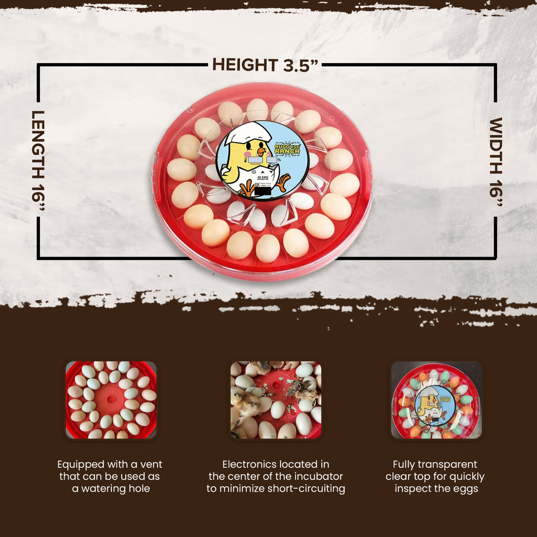 Rugg'EGG' Ranch 30 Egg Auto Turning Incubator w/Temperature & Humidity Display - VMInnovations