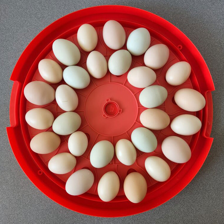 Rugg'EGG' Ranch 30 Egg Auto Turning Incubator w/Temperature & Humidity Display - VMInnovations