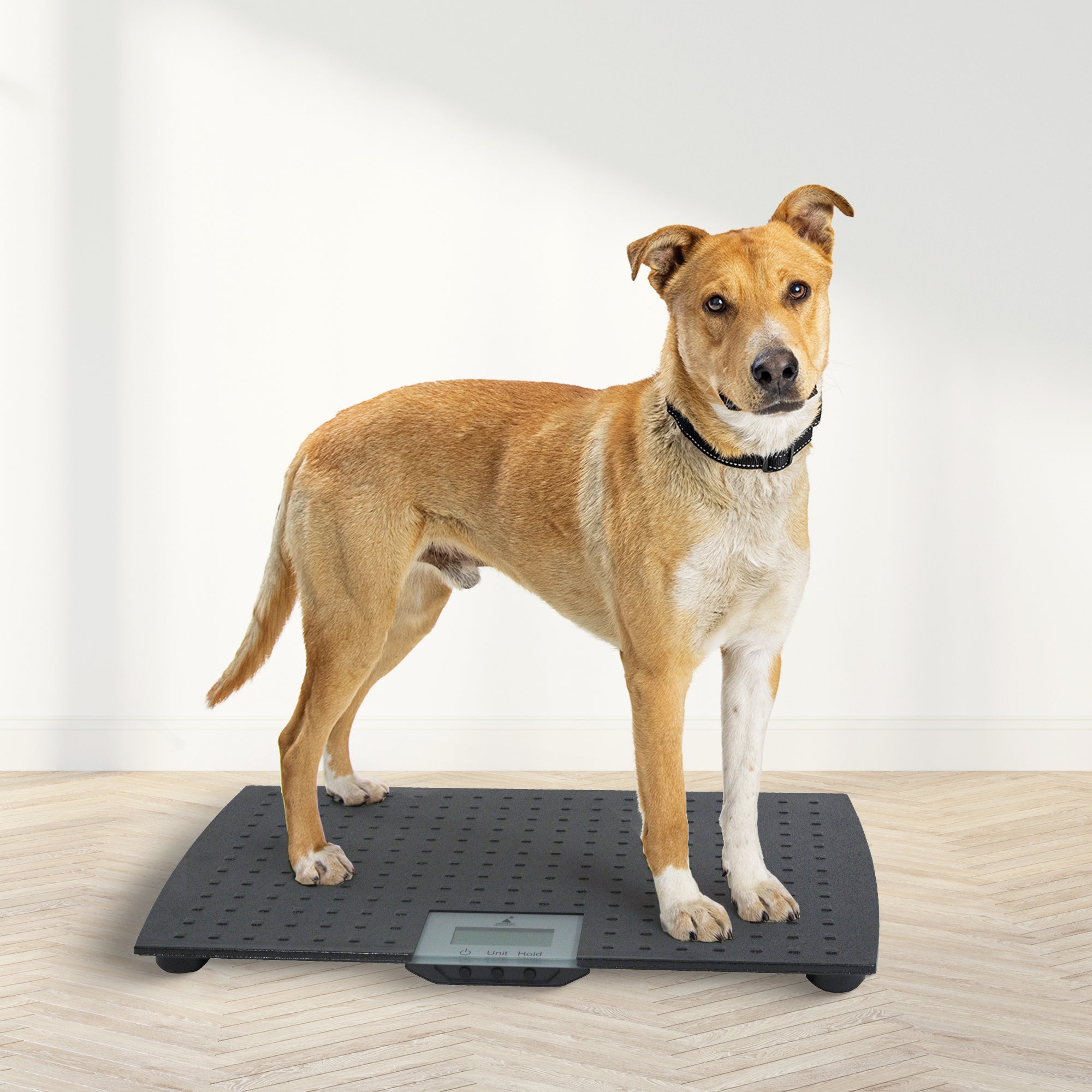 Redmon Pet Partners Large Non-Skid Rubber Digital Pet Weight Scale (For Parts)