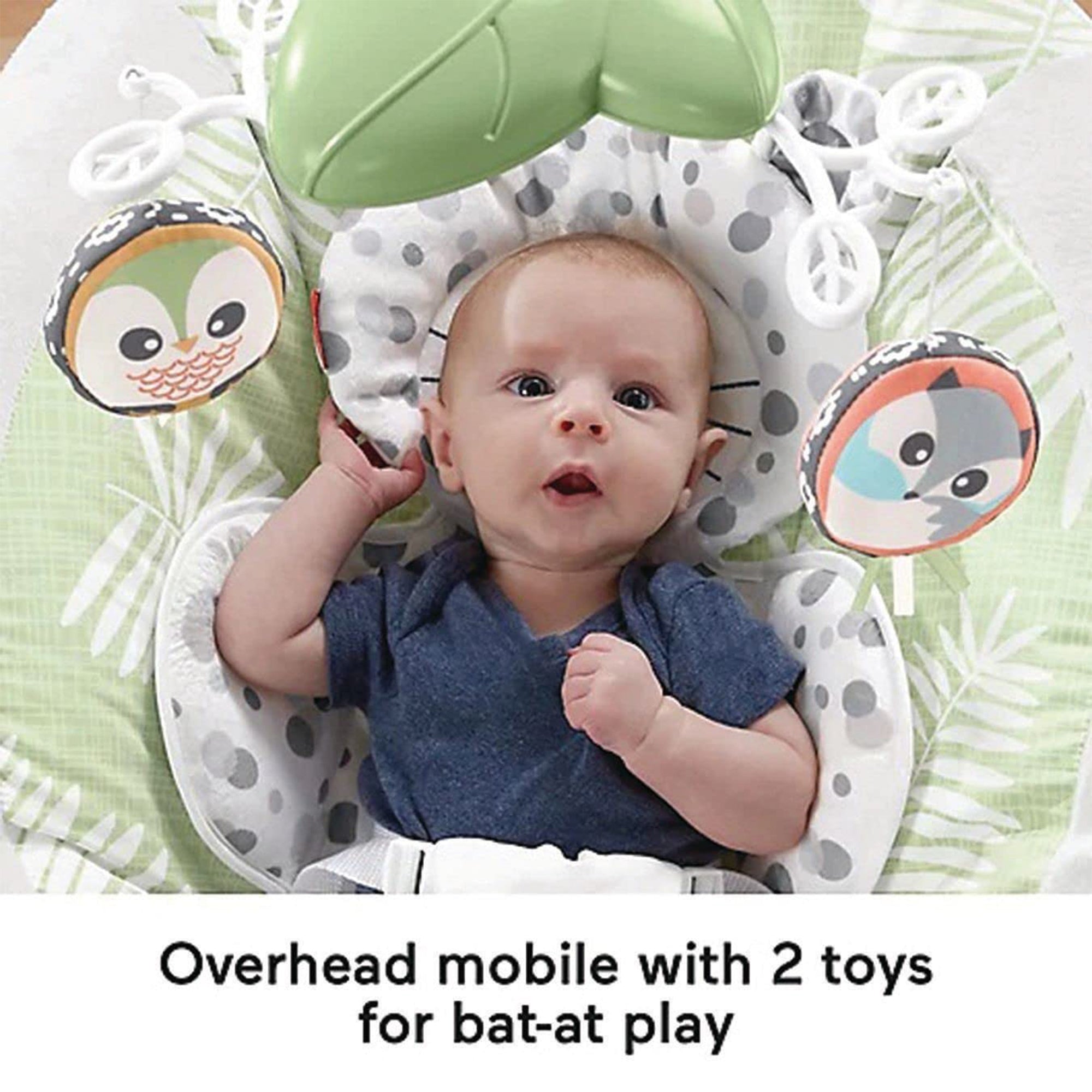 Fisher-Price Snow Leopard Deluxe Baby Bouncer with Soothing Sounds & Vibrations - VMInnovations