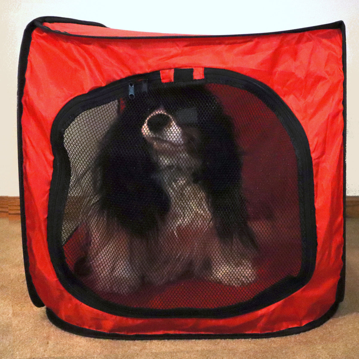 Redmon Medium Foldable Lightweight Portable Pop Up Dog Pet Travel Crate, Red