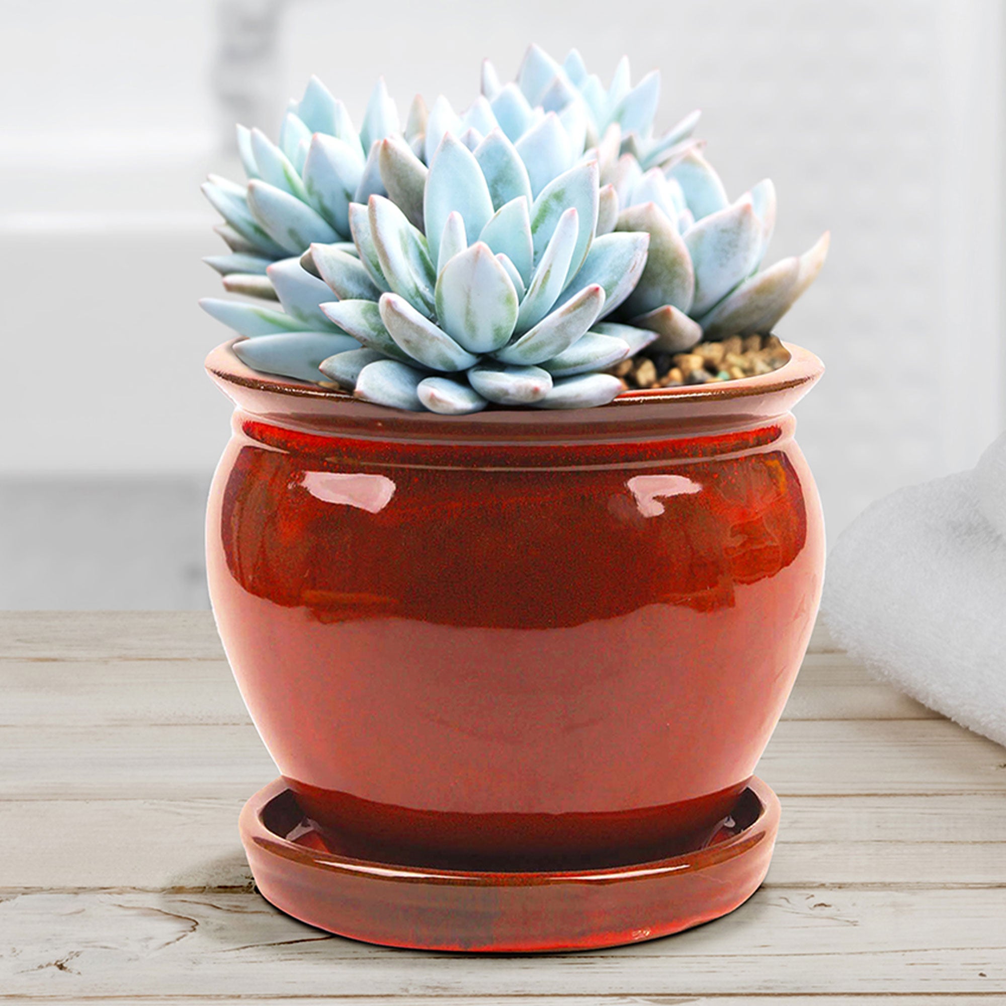 Southern Patio Wisteria 8" Round Ceramic Planter Pot with Saucer, Red (2 Pack) - VMInnovations