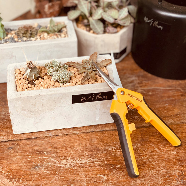 CENTURION Stainless Precision Snip Curved/Straight Pruning & Trimming Shear Set - VMInnovations
